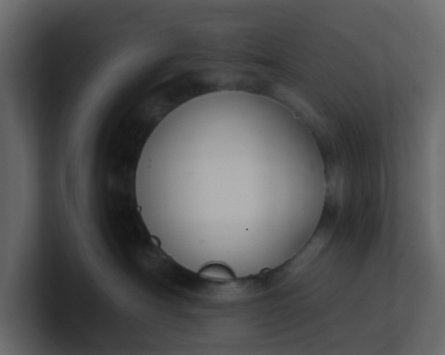 X0000101100430200807101451