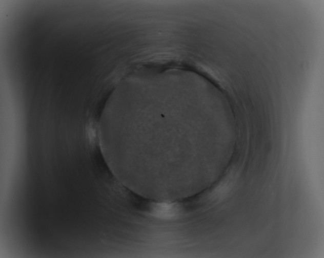 X0000101100432200807101451