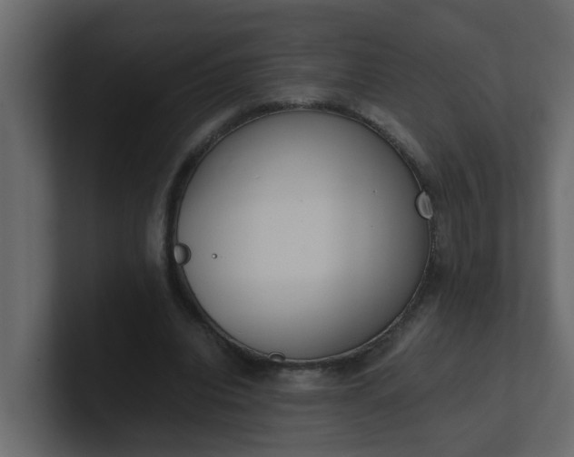 X0000101100440200807101450