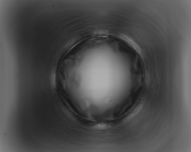 X0000101100441200807101451