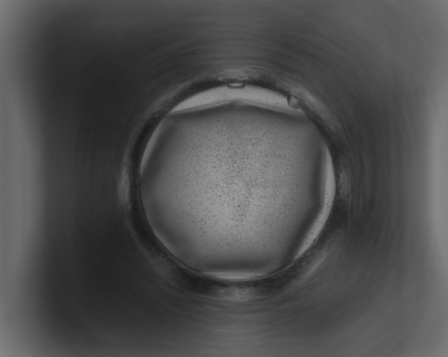 X0000101100444200807101451