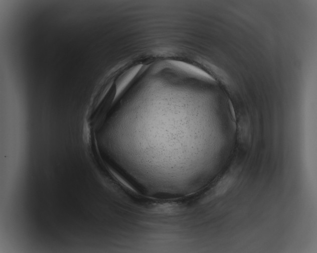 X0000101100446200807101451