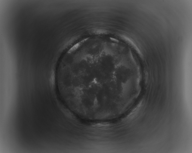 X0000101100447200807101451