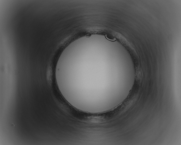 X0000101100448200807101451