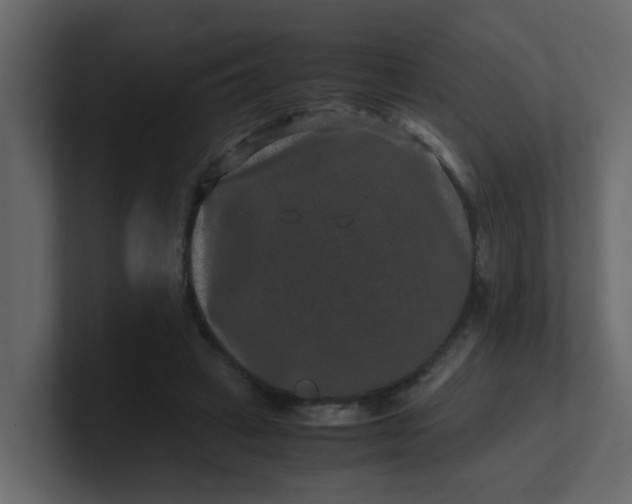 X0000101100449200807101451