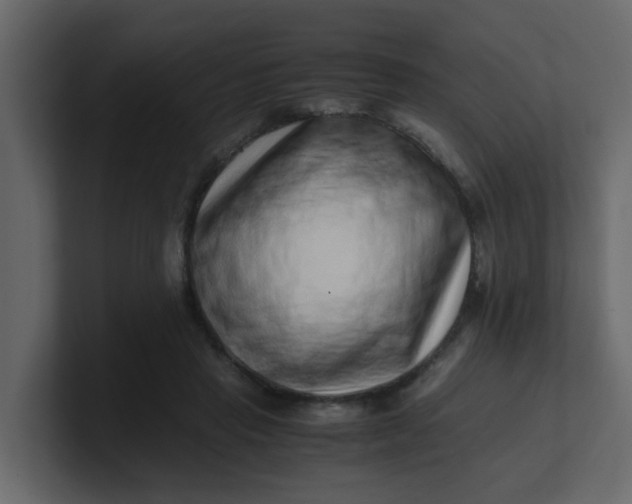 X0000101100453200807101451