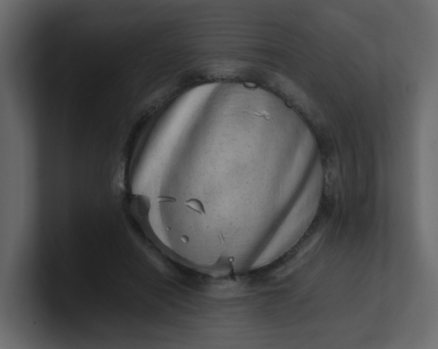 X0000101100454200807101451