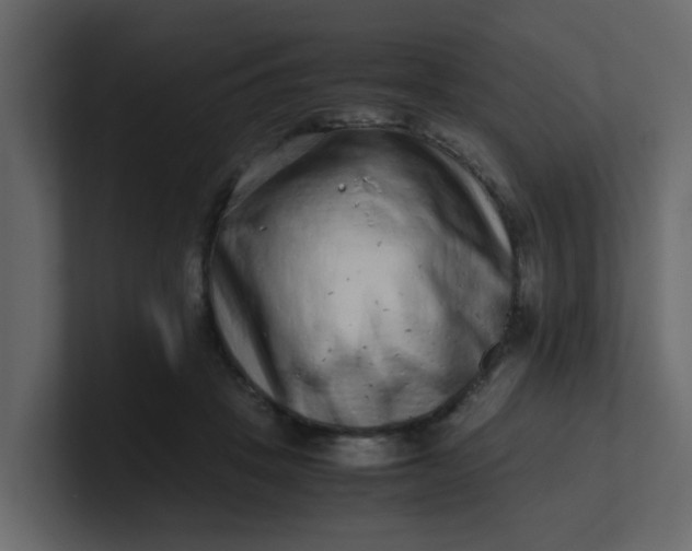 X0000101100457200807101451