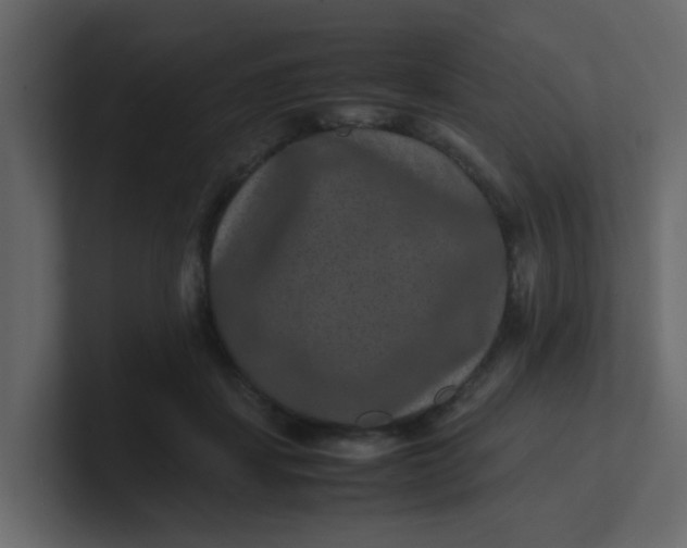 X0000101100459200807101451