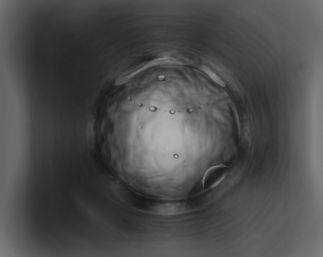 X0000101100461200807101451