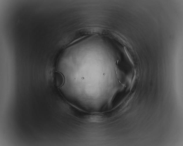 X0000101100462200807101451