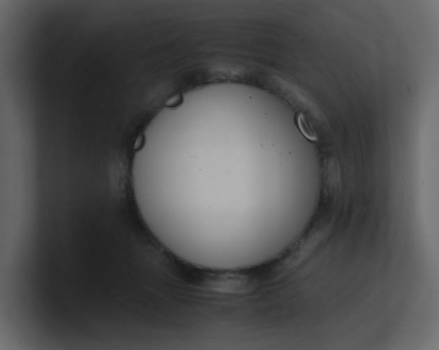 X0000101100463200807101451