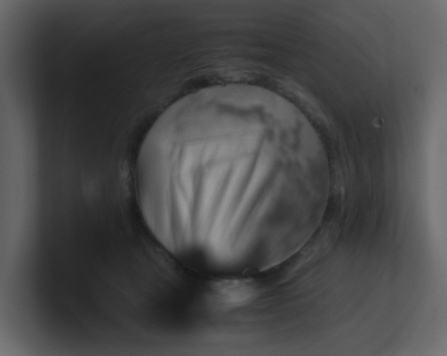 X0000101100465200807101451