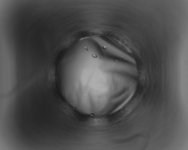 X0000101100466200807101451