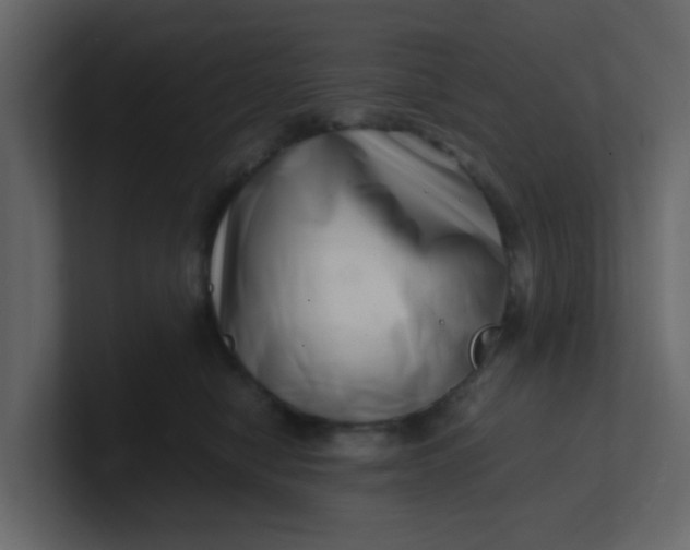 X0000101100470200807101451