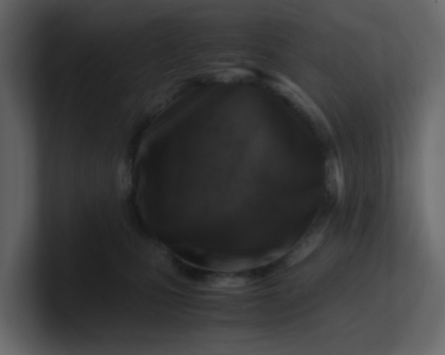 X0000101100471200807101451