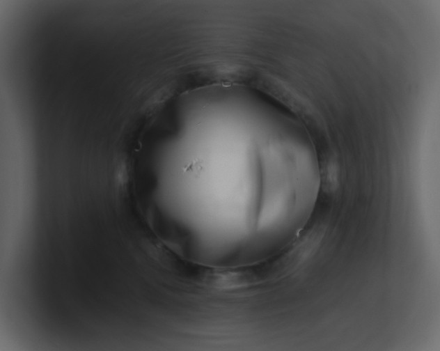 X0000101100472200807101451