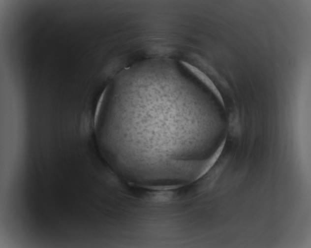 X0000101100474200807101451