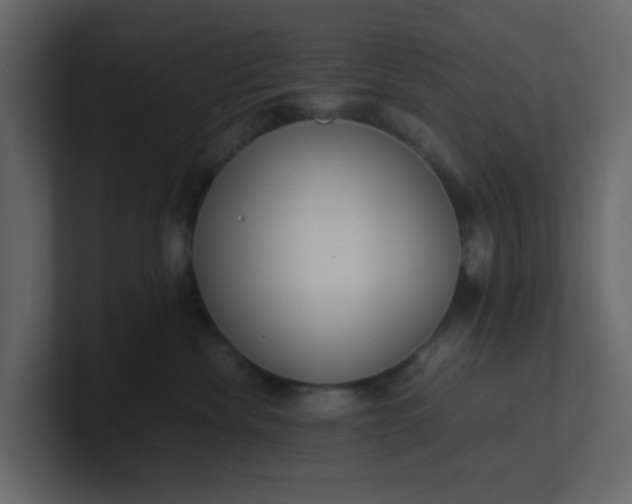 X0000101100476200807101451