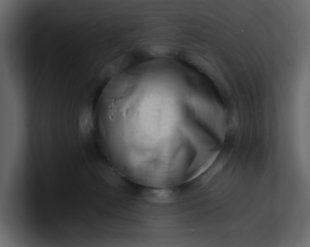 X0000101100478200807101451