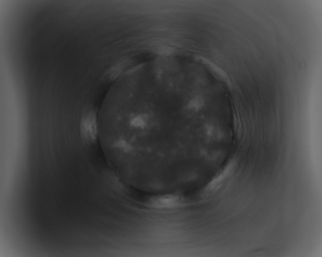 X0000101100479200807101451