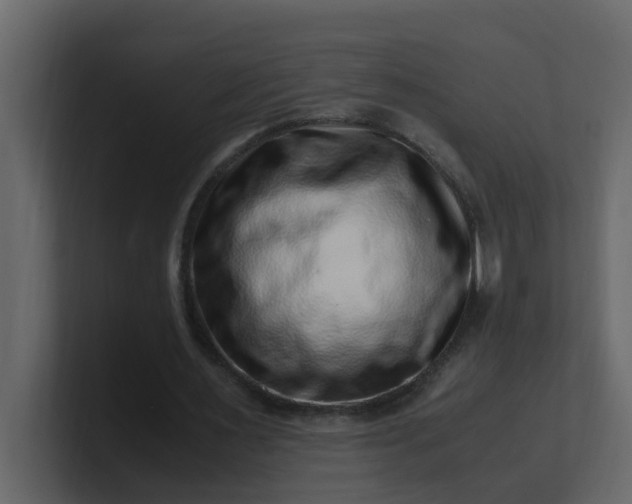 X0000101100483200807101450