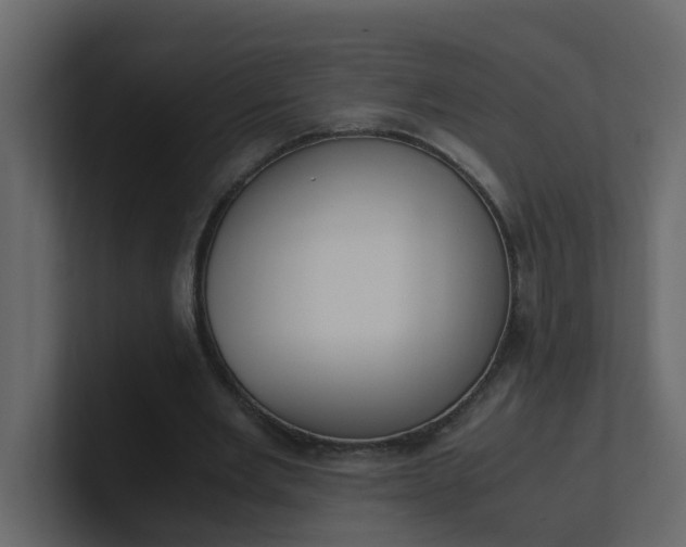 X0000101100485200807101450