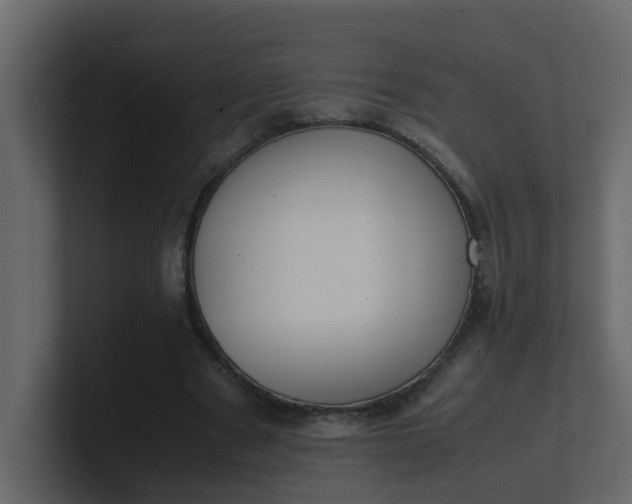 X0000101100489200807101450