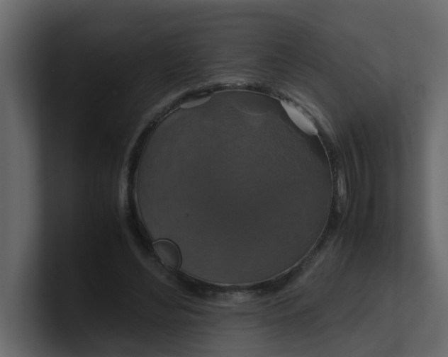 X0000101100492200807101450
