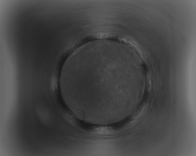 X0000101100499200807101450