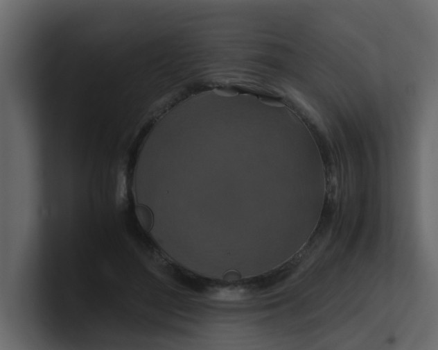 X0000101100500200807101450
