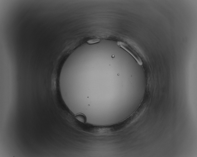 X0000101100501200807101450