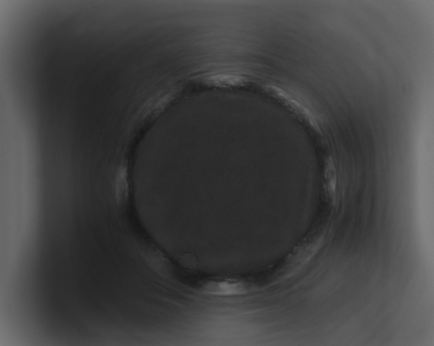 X0000101100506200807101450