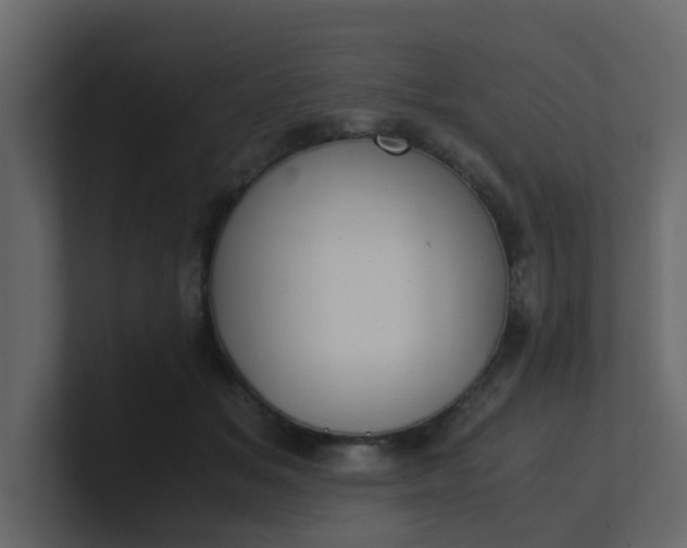 X0000101100509200807101450