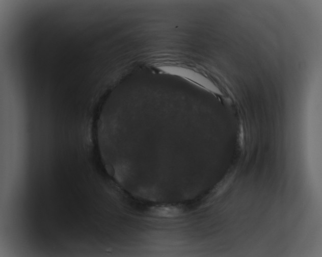 X0000101100512200807101450