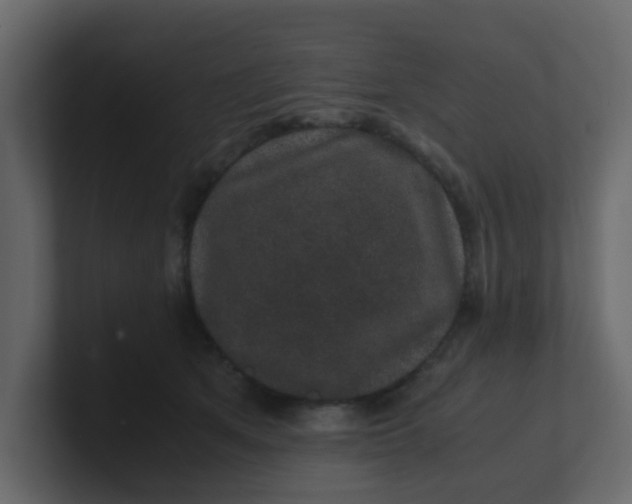 X0000101100513200807101450
