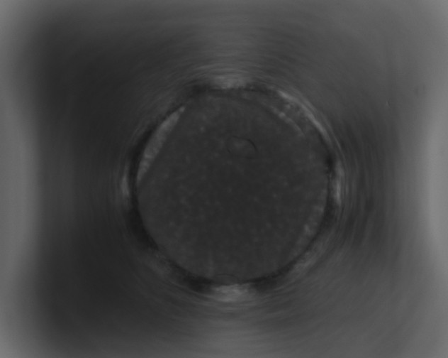 X0000101100516200807101450