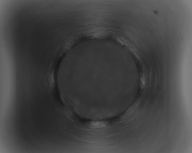 X0000101100520200807101450