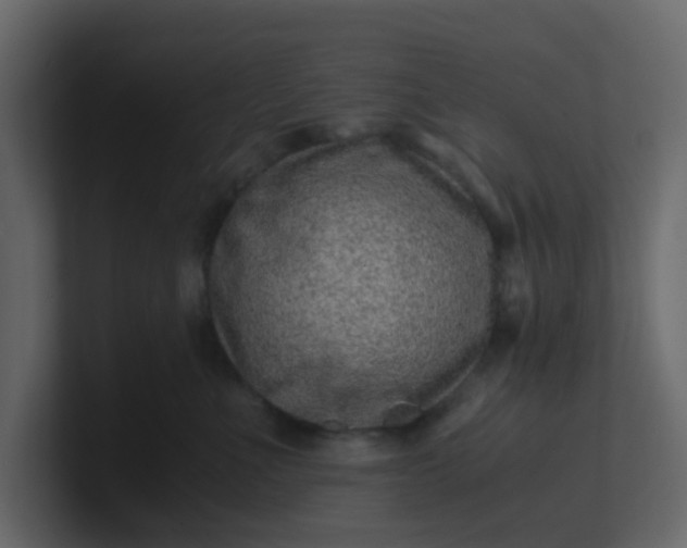 X0000101100523200807101450