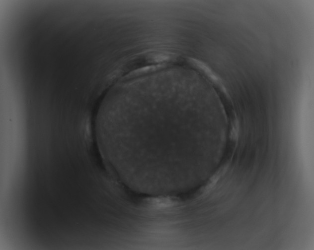 X0000101100524200807101450