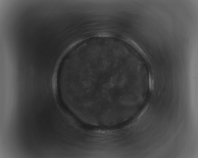 X0000101100531200807101449