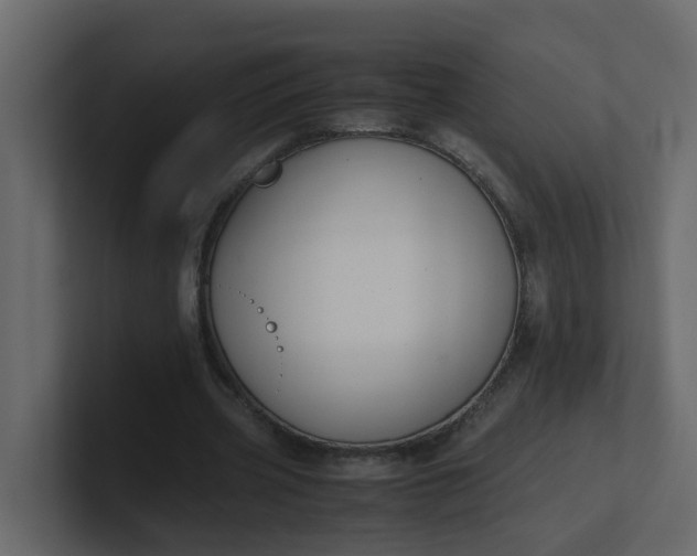 X0000101100533200807101449