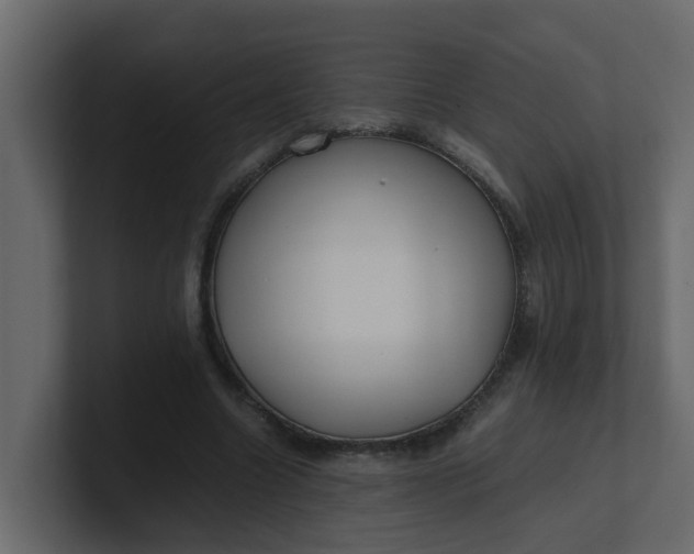 X0000101100538200807101449