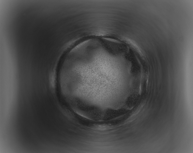X0000101100540200807101449
