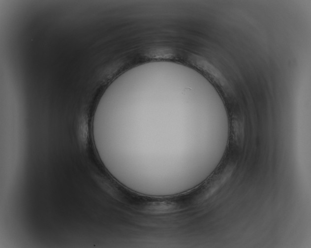 X0000101100541200807101449