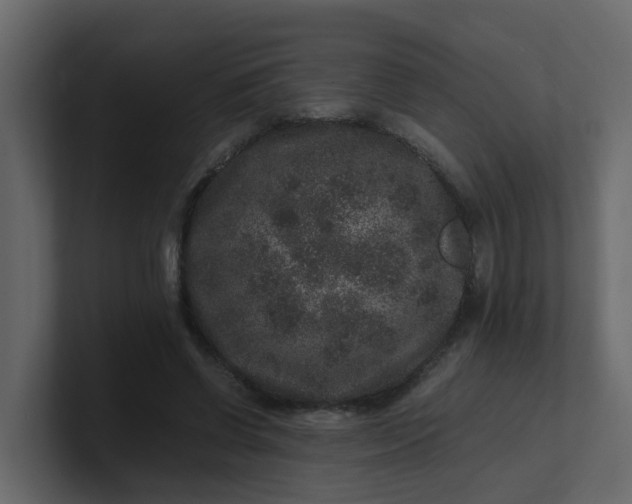X0000101100542200807101449