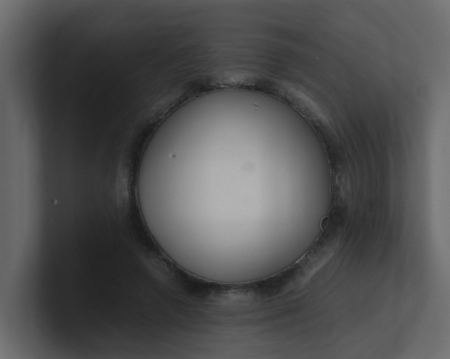 X0000101100546200807101449