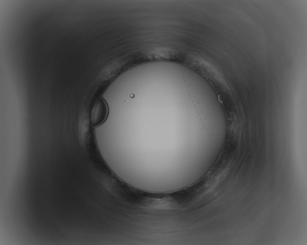 X0000101100548200807101449