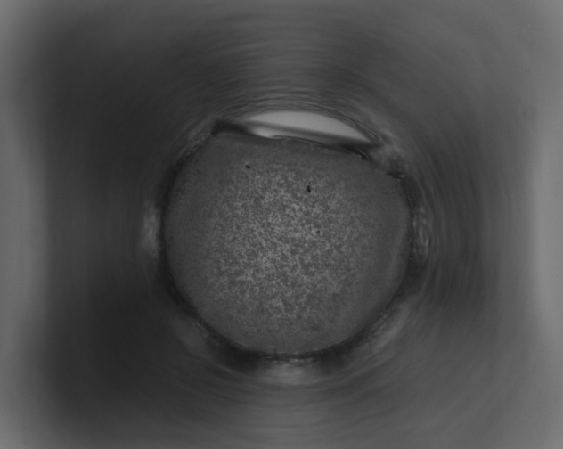 X0000101100550200807101449