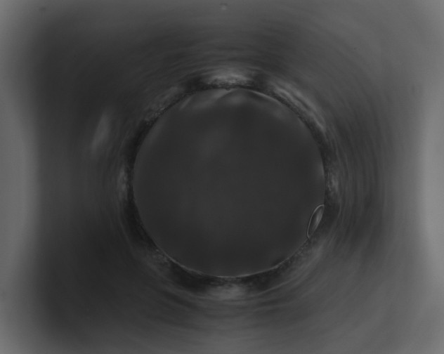X0000101100551200807101449
